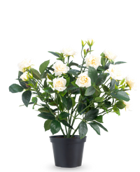 Kunstplant Patio-roos 35 cm crème UV