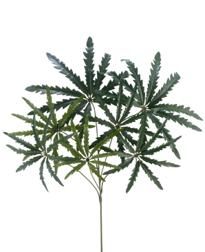 De Kunsttak Ming Aralia spray 68 cm FR heeft groene, stekelige bladeren die zich vertakken vanaf slanke stelen, tegen een effen witte achtergrond.