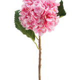 De Kunstbloem Hortensia Real Touch roze 58 cm is een enkele roze kunsthortensiastengel met groene bladeren, met een ronde bloei van vele kleine bloemblaadjes, prachtig gedetailleerd en geïsoleerd op een witte achtergrond.