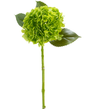 De Kunstbloem Charlotte Hortensia Real Touch donkergroen 55 cm bestaat uit één groene hortensiabloem met in trossen geplaatste bloemblaadjes, drie glanzende bladeren en een lange steel, allemaal afgebeeld tegen een witte achtergrond.