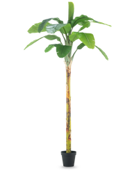 Kunstplant Bananenboom 250 cm