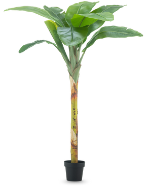 De Kunstplant Bananenboom 180 cm heeft brede groene bladeren en een gestructureerde steel in een kleine zwarte pot, tegen een effen witte achtergrond.