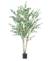 Kunstplant Eucalyptus 240 cm