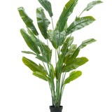 De Kunstplant Strelitzia Nicolai Deluxe 235 cm heeft lange, rechtopstaande groene bladeren in een zwarte pot - ideaal als grote kunstplant voor kamerplanten interieur - tegen een effen witte achtergrond.