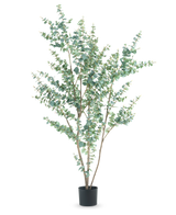 De Kunstplant Eucalyptus 210 cm is een hoge kunstmatige eucalyptus in een eenvoudige zwarte pot, met meerdere slanke takken en ronde, zilvergroene bladeren tegen een witte achtergrond.
