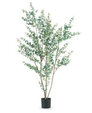 De Kunstplant Eucalyptus 210 cm is een hoge kunstmatige eucalyptus in een eenvoudige zwarte pot, met meerdere slanke takken en ronde, zilvergroene bladeren tegen een witte achtergrond.