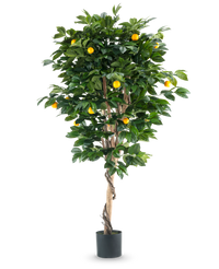 Kunstplant Sinaasappelboom 180 cm
