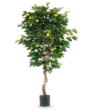 Een hoge Kunstplant Sinaasappelboom 180 cm met weelderige groene bladeren en verschillende oranje vruchten, tegen een effen witte achtergrond.