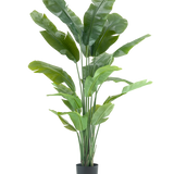 De Kunstplant Strelitzia Nicolai Deluxe 195 cm is een hoge kunstplant met lange, tropische bladeren en meerdere stengels die lijken op een paradijsvogel, perfect als opvallende kamerplant tegen elke effen witte achtergrond.