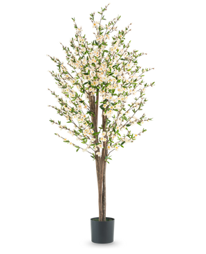 De Kunstplant Kersenbloesem 180 cm crème heeft meerdere bruine stammen, groene bladeren en veel kleine witte bloesems in een zwarte pot, tegen een effen witte achtergrond.