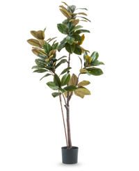 Kunstplant Yulaniaboom 180 cm