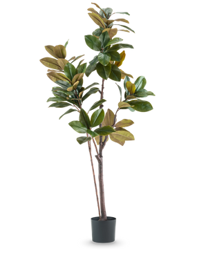 De Kunstplant Yulaniaboom 180 cm is een hoge, onderhoudsvriendelijke kunstplant met brede glanzende groene en bruine bladeren, meerdere slanke stelen en een zwarte cilindrische pot, tegen een effen witte achtergrond.