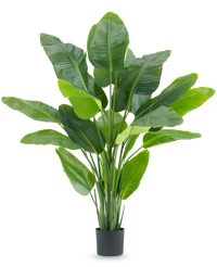 Kunstplant Strelitzia Real Touch Deluxe 180 cm