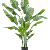 Kunstplant Strelitzia Nicolai Deluxe 180 cm met lange, brede groene bladeren in een eenvoudige zwarte pot steekt af tegen een effen witte achtergrond - een opvallende kamerplant en stijlvol decorstuk voor elk interieur.