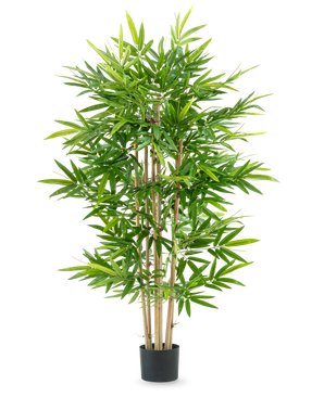 De Kunstplant Bamboe 150 cm heeft meerdere slanke bamboestengels en weelderige groene bladeren in een kleine zwarte pot, tegen een effen witte achtergrond.