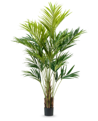 Kunstplant Kentia Palm 270 cm