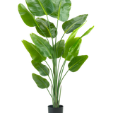 De Kunstplant Strelitzia 180 cm real touch is een hoge, groene kunstplant met lange stelen en grote, glanzende bladeren die lijken op een paradijsvogel, tegen een effen witte achtergrond.
