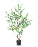 De Kunstplant Eucalyptus 180 cm is een hoge kunstplant met slanke takken en ronde groene bladeren, weergegeven in een eenvoudige zwarte pot tegen een witte achtergrond.
