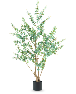 De Kunstplant Eucalyptus 180 cm is een hoge kunstplant met slanke takken en ronde groene bladeren, weergegeven in een eenvoudige zwarte pot tegen een witte achtergrond.