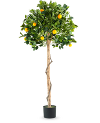 Kunstplant Sinaasappelboom op enkele stam 150 cm