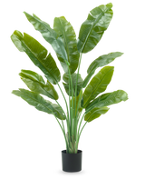 De Kunstplant Strelitzia Nicolai Deluxe 165 cm heeft hoge, brede groene bladeren in een zwarte pot, tegen een witte achtergrond - perfect als groene kunstplant voor je interieur.