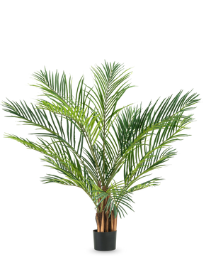 De Kunstplant Areca 150 cm heeft lange, slanke groene bladeren en bruine stelen in een eenvoudige zwarte pot, tegen een effen witte achtergrond.