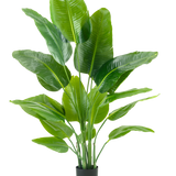 De Kunstplant Strelitzia Real Touch Deluxe 150 cm heeft hoge stelen met grote, glanzend groene bladeren, in een eenvoudige zwarte pot tegen een effen witte achtergrond.