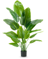 De Kunstplant Strelitzia Real Touch Deluxe 150 cm heeft hoge stelen met grote, glanzend groene bladeren, in een eenvoudige zwarte pot tegen een effen witte achtergrond.