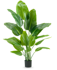 Kunstplant Strelitzia Real Touch Deluxe 150 cm