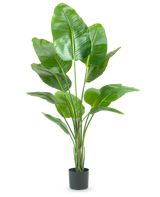 De Kunstplant Strelitzia 150 cm real touch2 heeft grote, glanzende groene bladeren met een realistische „paradijsvogel“-uitstraling en een realistische afwerking, gepresenteerd tegen een effen witte achtergrond.