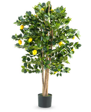De Kunstplant Citroenboom 120 cm is een kunstmatige citroenboom in pot met meerdere slanke stammen, weelderige groene bladeren en felgele citroenen tegen een effen witte achtergrond.