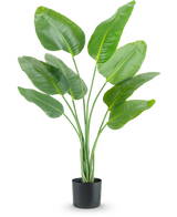De Kunstplant Strelitzia 120 cm real touch heeft hoge, groene, omhoog groeiende langwerpige bladeren in een zwarte plantenbak, tegen een effen witte achtergrond.