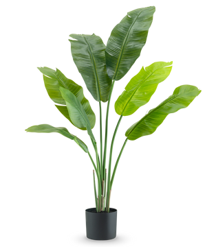 De Kunstplant Strelitzia Nicolai Deluxe 120 cm is een luxe kamerplant met grote, brede bladeren in een eenvoudige zwarte pot, stijlvol tegen een witte achtergrond.