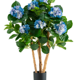 De Kunstplant Hortensia UV 85 cm blauw heeft hoge houten stelen en grote groene bladeren, met trossen blauwe en witte hortensiabloemen in een zwarte pot, perfect voor decoratie.