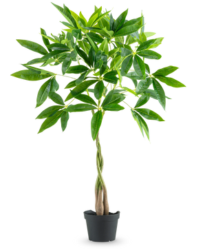 De Kunstplant Pachira 90 cm is een geldboom in pot met een gevlochten stam en trossen glanzend groene bladeren, geïsoleerd afgebeeld op een witte achtergrond.
