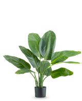 De Kunstplant Strelitzia Real Touch Deluxe 90 cm is een hoge potplant met grote, glanzend groene bladeren, afgebeeld tegen een effen witte achtergrond.