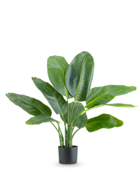 Kunstplant Strelitzia Real Touch Deluxe 90 cm