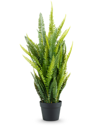 Kunstplant Boston Varen 86 cm