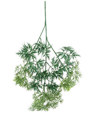 De Kunsttak Ming Aralia-spray 72 cm heeft groene, vederlichte kunstbladeren met fijne, naaldachtige randen in verschillende groene tinten, ondersteboven hangend tegen een witte achtergrond.