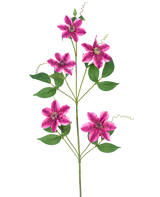 De Kunstbloem Clematis dubbel 78 cm paars heeft vijf stervormige, paarse dubbele bloesems met groene bladeren en krullende ranken op slanke stelen, tegen een witte achtergrond.