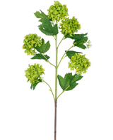 De Kunsttak Sneeuwbal 77 cm groen heeft een enkele stengel met verschillende trossen ronde, groengele bloemen en donkergroene, gekartelde bladeren, alles tegen een witte achtergrond.