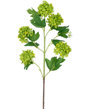 De Kunsttak Sneeuwbal 77 cm groen heeft een enkele stengel met verschillende trossen ronde, groengele bloemen en donkergroene, gekartelde bladeren, alles tegen een witte achtergrond.