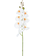 De Kunstbloem Orchidee 84 cm wit heeft een enkele steel van witte orchideeënbloemen met gele en roze hartjes en groene bloemknoppen bovenaan, tegen een effen witte achtergrond.