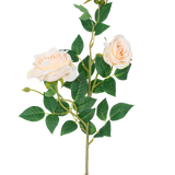 De Kunstroos Neo deluxe 75 cm beige heeft een enkele steel met twee lichtbeige bloeiende rozen, een rozenknop en verschillende groene bladeren, tegen een effen witte achtergrond.
