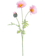 De Kunstbloem Papaver 73 cm lichtroze heeft een enkele steel met twee open lichtroze papaverbloemen, een gesloten knop, ruches in de bloemblaadjes, gele hartjes en groene bladeren op een witte achtergrond.