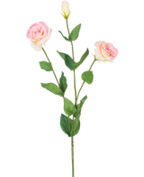 De Kunst Eustoma Real Touch Lichtroze 72cm heeft een enkele groene steel met twee bloeiende lichtroze bloemen en een gesloten knop, omringd door groene bladeren, tegen een effen witte achtergrond.