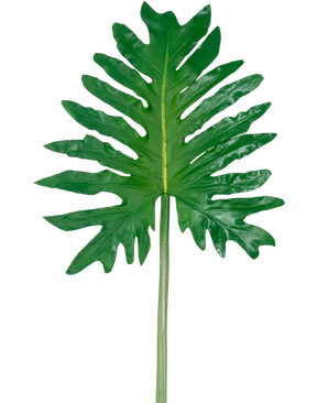 Een Kunstblad Philodendron 68cm, met een groot groen tropisch blad met diepe, onregelmatige lobben en een lange centrale steel, wordt getoond tegen een effen witte achtergrond.