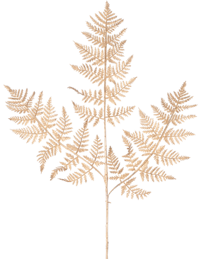 Het Kunsttak Varen 78 cm goud heeft een delicate, gedroogde varentak met dunne, ingewikkelde lichtbruine bladeren in een gedetailleerd kantpatroon, elegant weergegeven tegen een effen witte achtergrond.