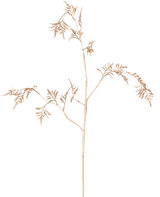 Het Kunsttak Varen Mini 75 cm goud heeft delicate, lichtbruine stengels met dunne, vederlichte blaadjes die zich vertakken tegen een effen witte achtergrond.