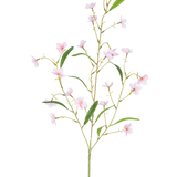 De Kunstbloem Alstroemeria Real Touch Roze 100 cm heeft een enkele steel met meerdere slanke takken, groene bladeren en kleine roze vijfbladige bloemen verspreid langs de steel - alles tegen een witte achtergrond.